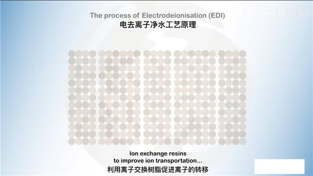 连续电去离子（EDI）技术原理