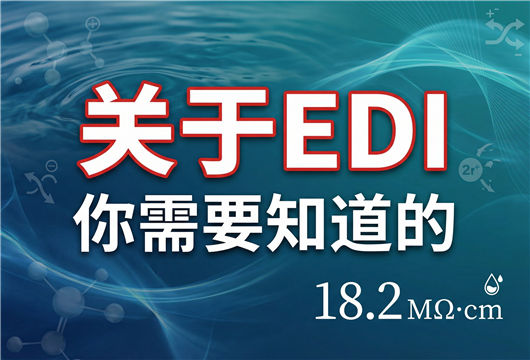EDI连续电去离子技术全面解析：原理、优势与品牌选型指南